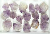 Lot: / to Cut Base Amethyst Crystals - Pieces #80977-1